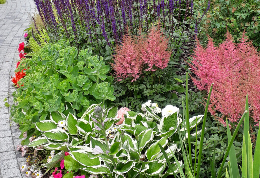 3148201615312285 3148201615312285