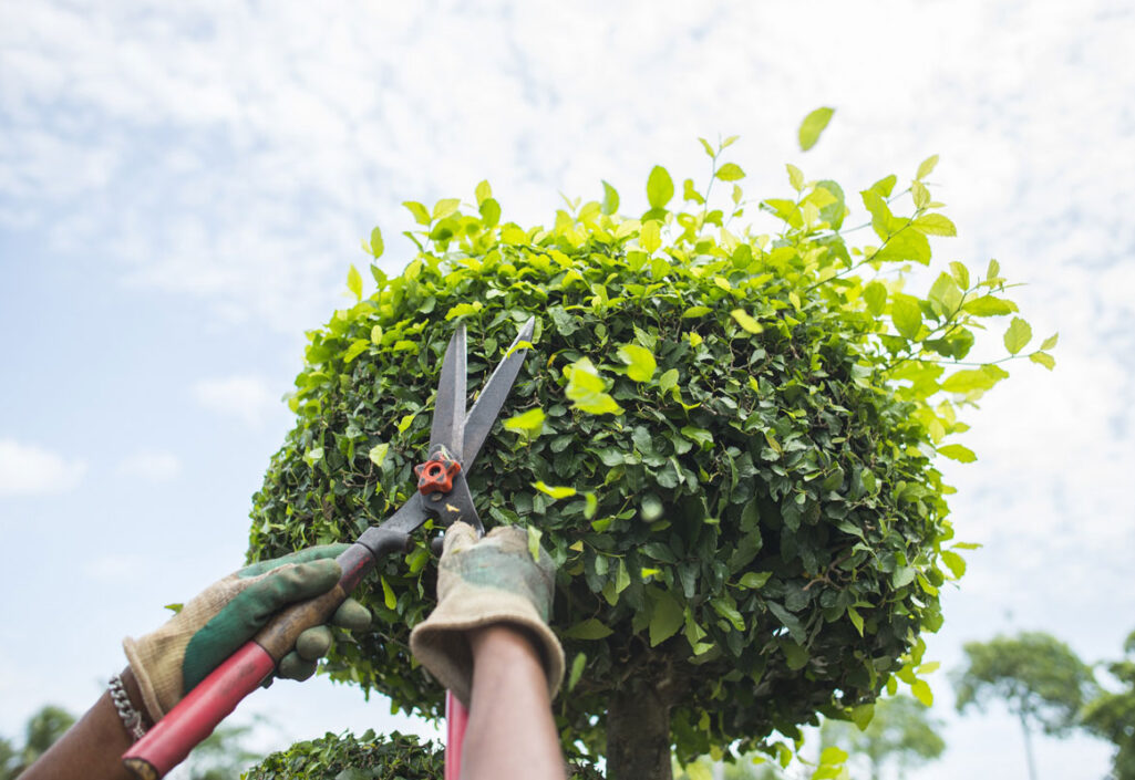 7970221614696938 7970221614696938