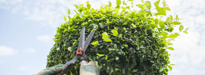 7970221614696938 7970221614696938