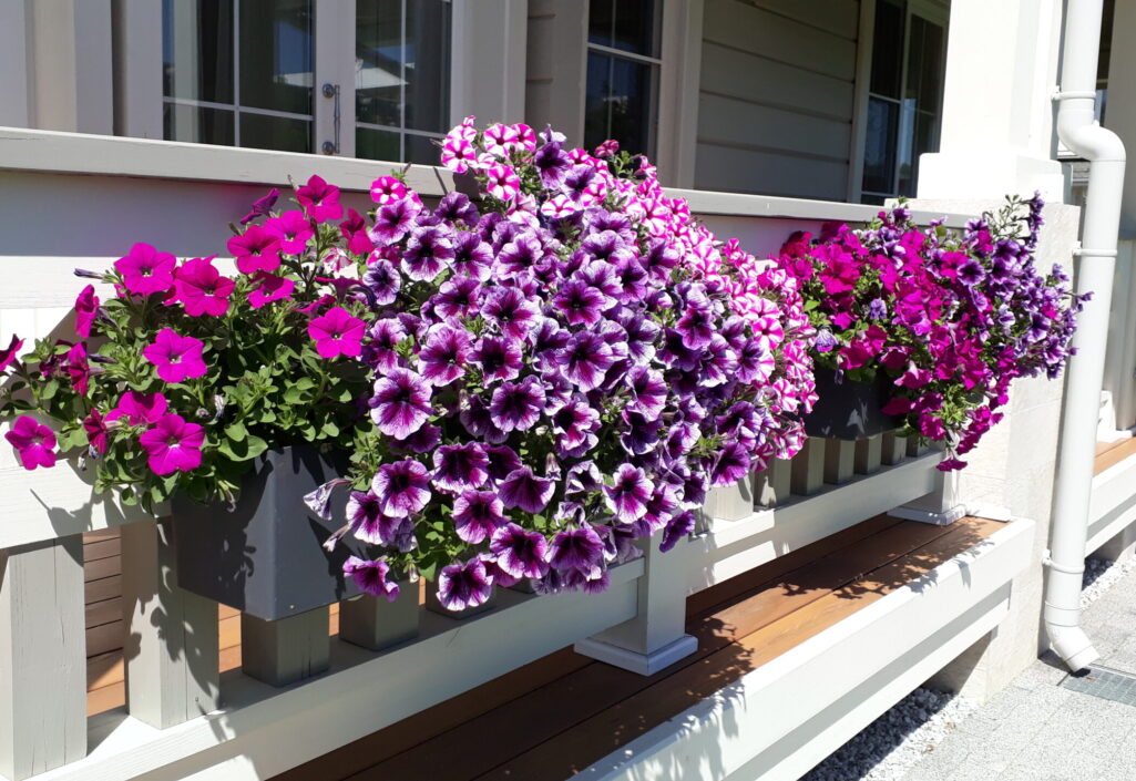 8296481615313207 8296481615313207